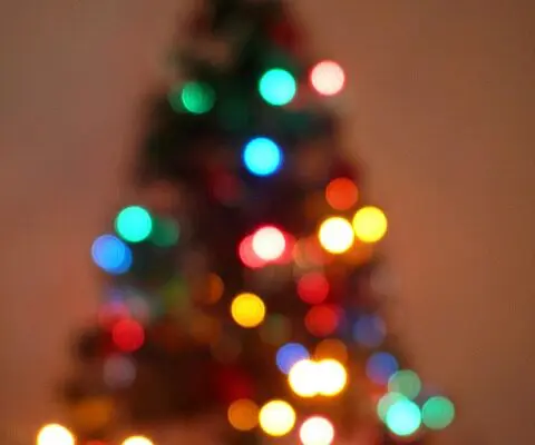 christmas tree with shining lights